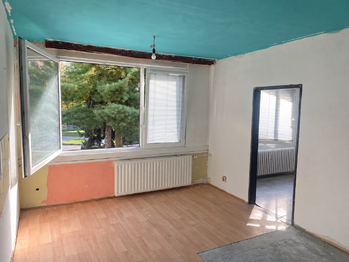 Prodej bytu 1+1 v osobním vlastnictví 42 m², Písek