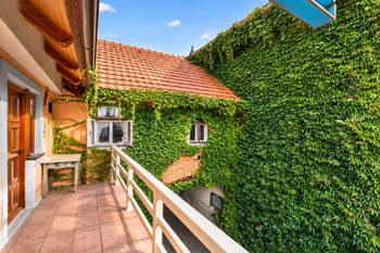 Prodej domu 330 m², Čečelice