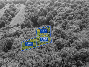Prodej pozemku 1765 m², Dolní Zálezly