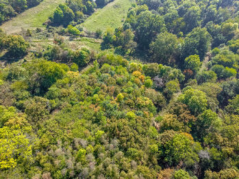 Prodej pozemku 1765 m², Dolní Zálezly