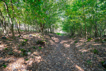 Prodej pozemku 1765 m², Dolní Zálezly