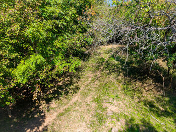 Prodej pozemku 1765 m², Dolní Zálezly