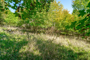 Prodej pozemku 1765 m², Dolní Zálezly
