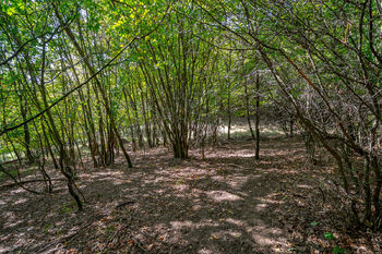 Prodej pozemku 1765 m², Dolní Zálezly