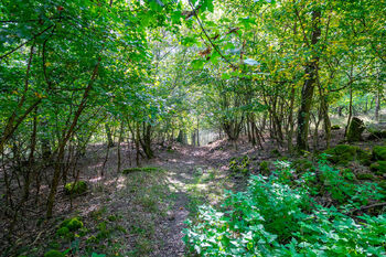 Prodej pozemku 1765 m², Dolní Zálezly