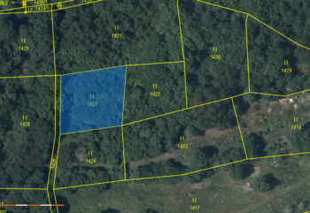 Prodej pozemku 1765 m², Dolní Zálezly