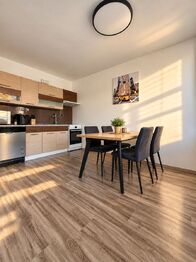 Pronájem bytu 3+1 v družstevním vlastnictví 65 m², Teplice