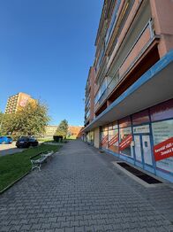 Pronájem bytu 3+1 v družstevním vlastnictví 65 m², Teplice