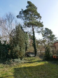 Prodej chaty / chalupy 85 m², Chudíř