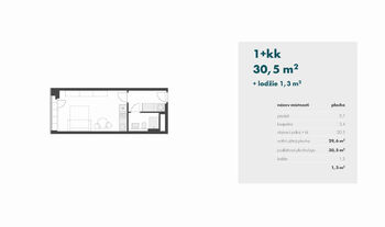 Pronájem bytu 1+kk v osobním vlastnictví 3305 m², Praha 9 - Libeň