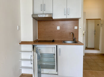 Pronájem bytu 1+kk v osobním vlastnictví 24 m², Praha 10 - Vinohrady
