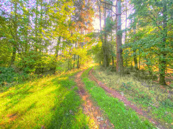 Prodej chaty / chalupy 95 m², Radošovice