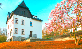 jaro u vily - Prodej kancelářských prostor 61 m², Ústí nad Labem