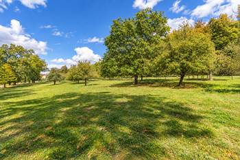 Prodej pozemku 27377 m², Chvalšiny