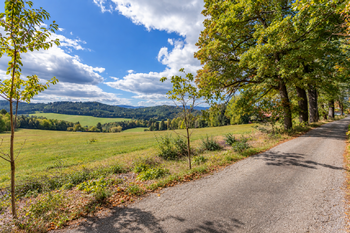 Prodej pozemku 27377 m², Chvalšiny