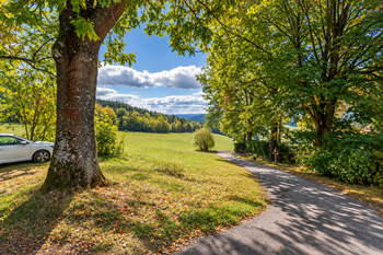 Prodej pozemku 27377 m², Chvalšiny
