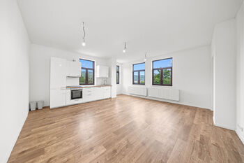 kuchyň s kuchyňskou linkou - Prodej bytu 3+kk v osobním vlastnictví 105 m², Ústí nad Labem