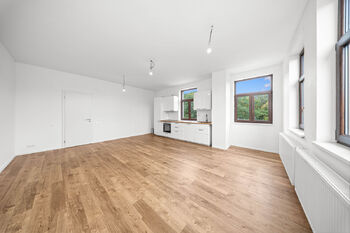 kuchyň s kuchyňskou linkou - Prodej bytu 3+kk v osobním vlastnictví 105 m², Ústí nad Labem