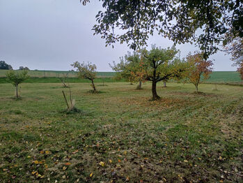 Prodej domu 169 m², Hořice