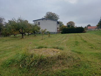 Prodej domu 169 m², Hořice