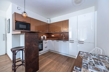 Pronájem bytu 2+kk v osobním vlastnictví 60 m², Praha 7 - Holešovice