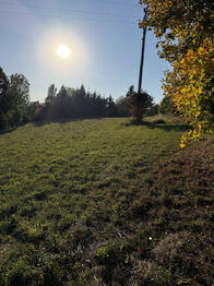 Pozemek - Prodej pozemku 2204 m², Žítková