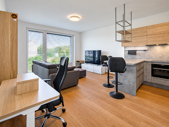Pronájem bytu 2+kk v osobním vlastnictví 52 m², Praha 7 - Holešovice