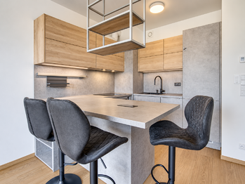 Pronájem bytu 2+kk v osobním vlastnictví 52 m², Praha 7 - Holešovice