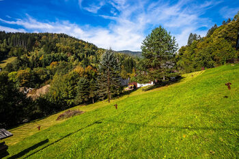 Prodej chaty / chalupy 130 m², Rokytnice nad Jizerou