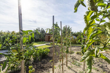 Prodej chaty / chalupy 32 m², Štětí