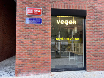 Pronájem bytu 1+kk v osobním vlastnictví 39 m², Praha 3 - Žižkov