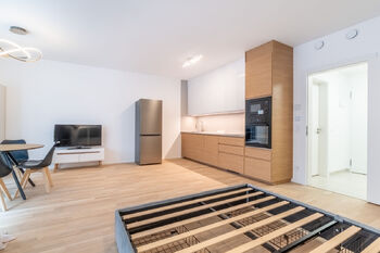 Pronájem bytu 1+kk v osobním vlastnictví 39 m², Praha 3 - Žižkov
