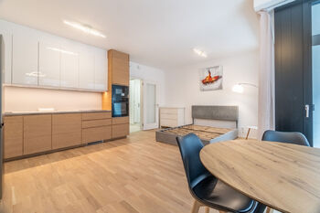 Pronájem bytu 1+kk v osobním vlastnictví 39 m², Praha 3 - Žižkov