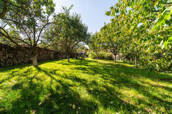 Prodej domu 280 m², Vémyslice