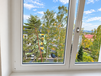 Prodej bytu 1+kk v osobním vlastnictví 38 m², Litvínov