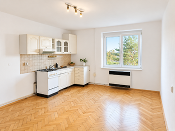 Prodej bytu 1+kk v osobním vlastnictví 38 m², Litvínov