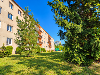 Prodej bytu 1+kk v osobním vlastnictví 38 m², Litvínov