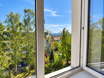 Prodej bytu 1+kk v osobním vlastnictví 38 m², Litvínov