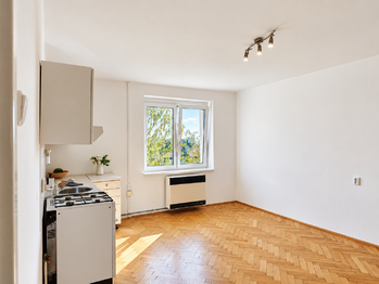 Prodej bytu 1+kk v osobním vlastnictví 38 m², Litvínov