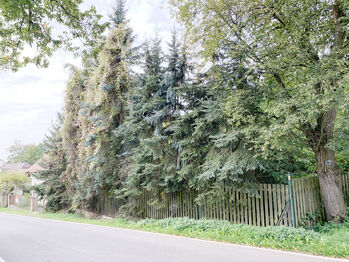 pohled z ulice na zahradu - Prodej domu 100 m², Kounov