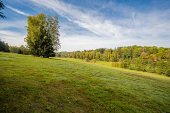 Prodej pozemku 61229 m², Podhradí