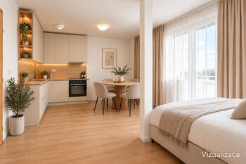 Prodej bytu 1+kk v osobním vlastnictví 30 m², Brno