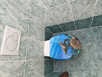 WC - Prodej bytu 3+1 v družstevním vlastnictví 84 m², České Budějovice