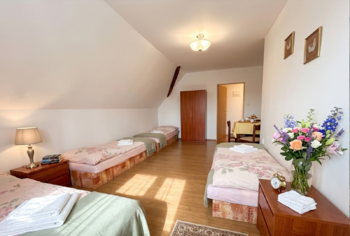Pokoj 3 - Prodej domu 302 m², Černousy