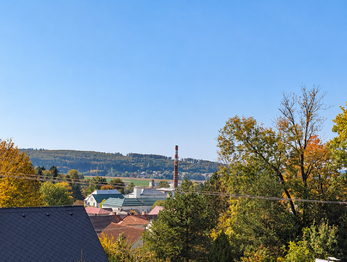 Prodej bytu 3+1 v osobním vlastnictví 66 m², Krucemburk