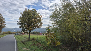 Prodej pozemku 3023 m², Vráž