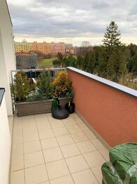 Pronájem bytu 1+kk v osobním vlastnictví 35 m², Olomouc