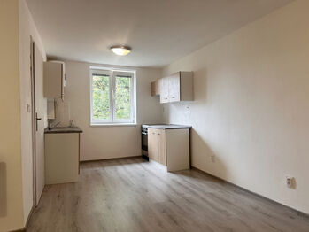 Prodej bytu 1+kk v osobním vlastnictví 27 m², Opava