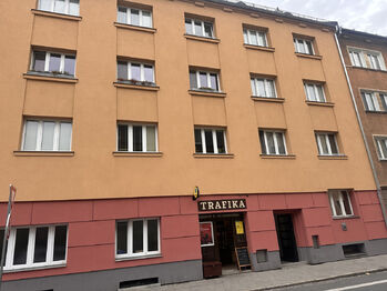 Prodej bytu 1+1 v osobním vlastnictví 30 m², Dolní Benešov
