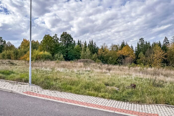 Prodej pozemku 1289 m², Družec
